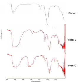 Figure 28 FTIR spectra of phases 1, 2 and 3. 