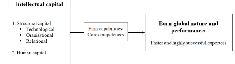 Figure 2. The RBV-based model of the BG nature and performance. Source: Rialp and Rialp (2007: 74) 