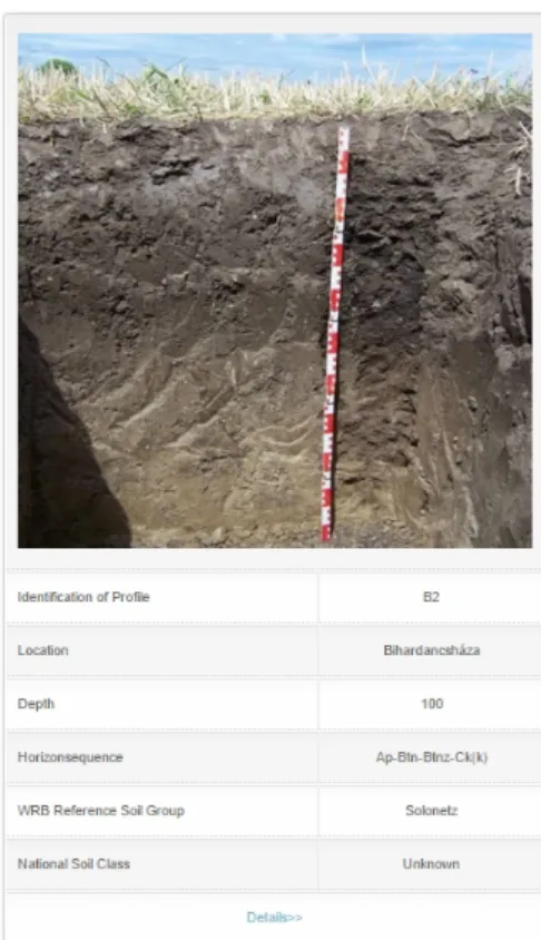 Figure 7. Main information of listed soil profile