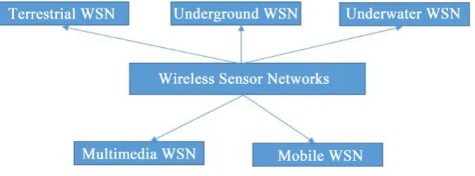 Figure 1. WSN types.                                                            
