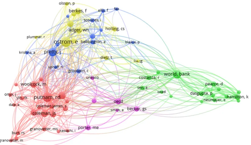 Figure 5. Author co-citation network on SHC related to sustainability. 