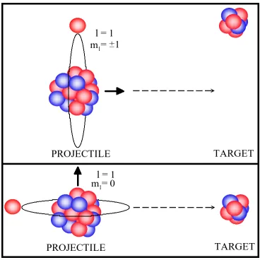Figure 1.15: The orientation of the valence nucleon relative to the projectile momentum