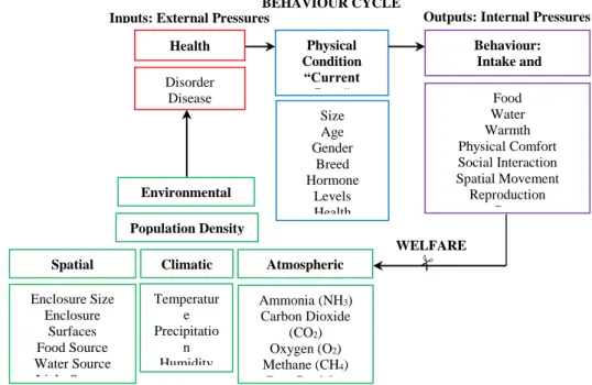 Figure 1. Behaviour cycle 