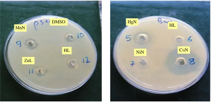 Figure 1. Inhibition diameter for ligands and complexes E. coli = Escherichia coli, Staph =Staphylococcus aureus