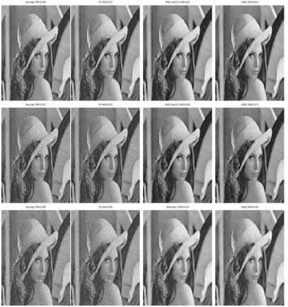 Figure 4.3: Test Set-1 Example 1. From the top row to the bottom, 10, 15 and 20percent random noise has been added to the image