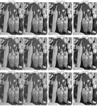 Figure 4.4: Test Set-1 Example 2. From the top row to the bottom, 10, 15 and 20percent random noise has been added to the image