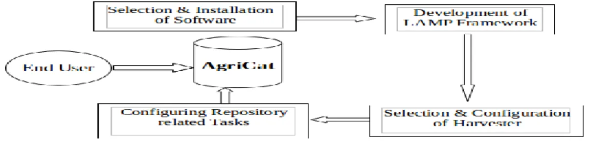 Figure 4. Development of the Model 