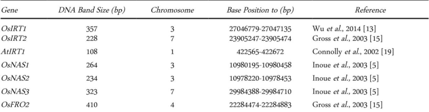 Tabel 3. Primers used in the genotype evaluation using STS Markers