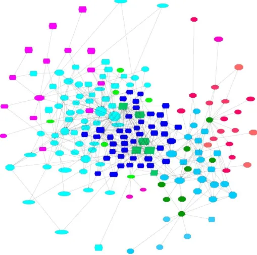 Figure 2. A “Circular layout – single cycle”, so called by the software yEd. 