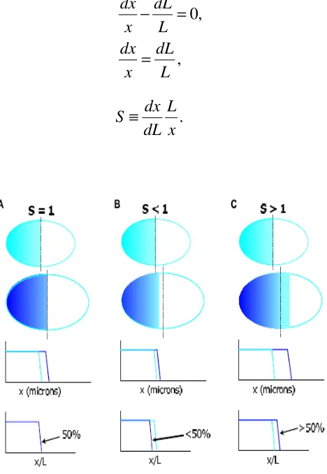 Figure 1-16:  Different scenarios associated with different values of the scaling factor S