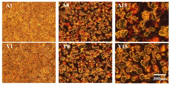 Figure 7. Average circularity of each gold powder with round shape before Ma-ki-e processing