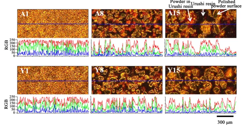 Figure 12. Results of color analysis for No. 1, No. 8, and No. 15; A1, A8, and A15 are shown in upper column, and Y1, Y8, and Y15 are shown in lower column