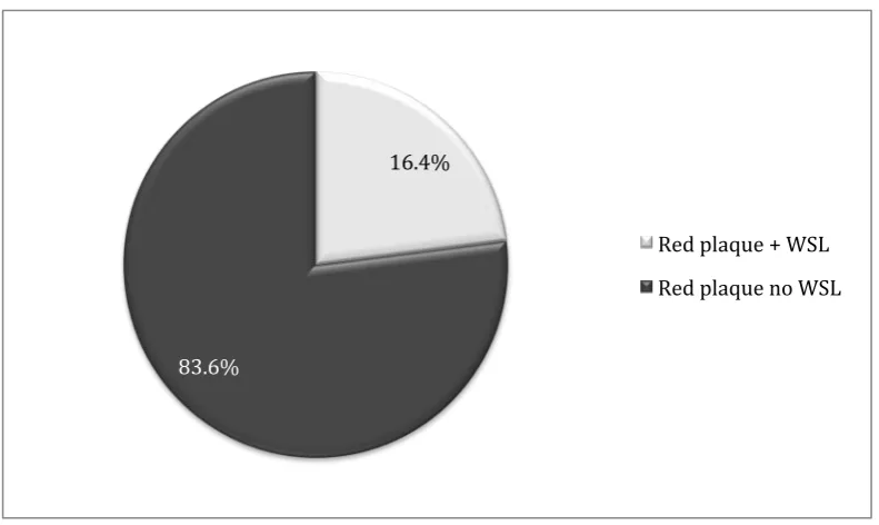 Figure 4.5: The relationship between red fluorescent plaque and white spot 