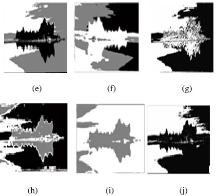 Fig 6: Subjective segmentation results: (a) original image pyramids; 