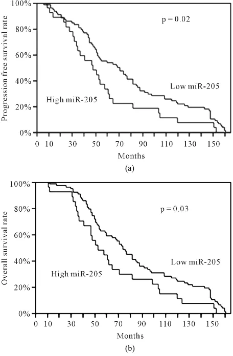 Figure 1. Kaplan-Meier curves in the NSCLC patients with a different miR-205 expression