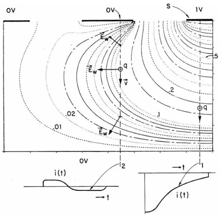 Figure 2.15: Schematic representation of the weighting ﬁeld within a strip detector,reproduced from [23]