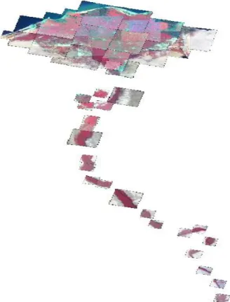 Figure 1. Satellite image of the Nile Delta and Nile Valley  2.1.2. Determine field survey sites   