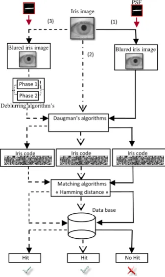 Fig 3.3: Examples of motion blurred iris images with different values of speed function v(x,y) 