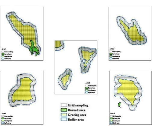 Figure 3. Grid sampling mapping, areas 1 to 5