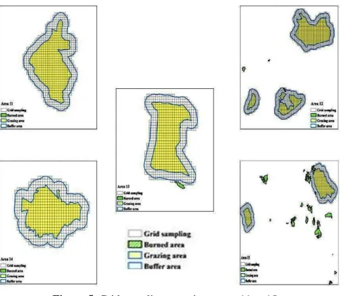 Figure 5. Grid sampling mapping. areas 11 to 15  3.2. Feed intake estimation of Podolian cattle 