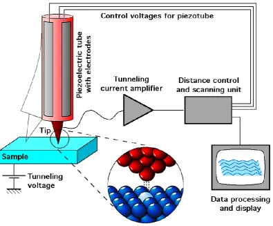 Figure 2.1:  A schematic view of a Scanning Tunnelling Microscope.  