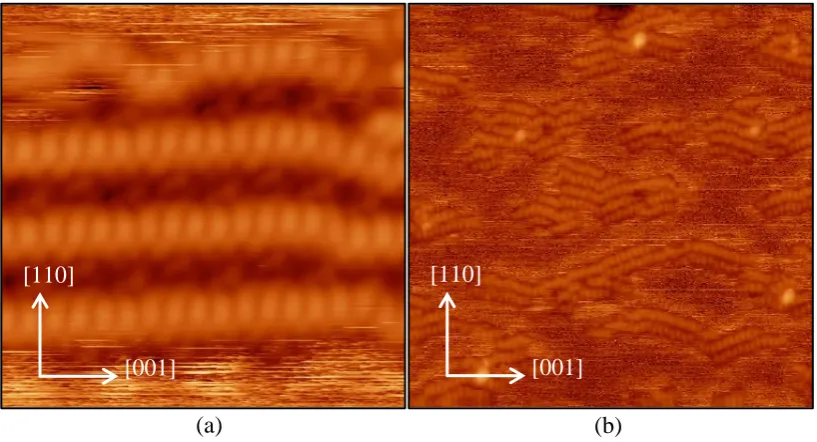 Figure 3.1: STM images from UHV experiments of the thymine molecule adsorbed on the 