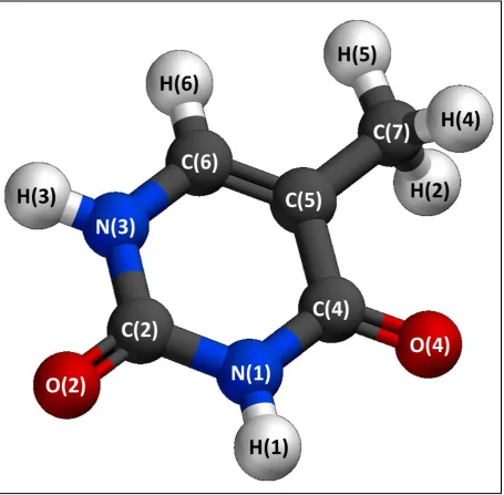 Figure 3.2: The molecular structure of thymine. The carbons (C) are coloured in grey, the 