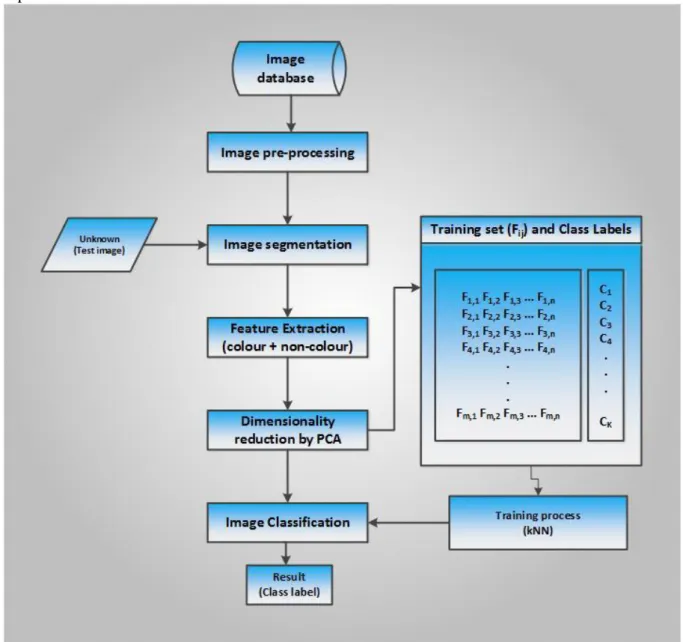 Figure 10. A research approach on computer-based vision system for automatic identification of plant  species