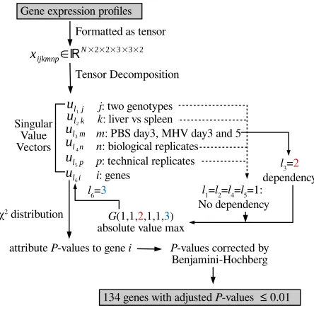 Figure 1 shows the ﬂowchart of TD based unsupervised FE.