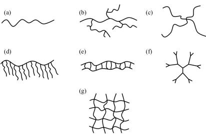Figure 1.3. Representations of polymers with varied architecture. (a) Linear, (b) branched, (c) star, (d) graft or comb, (e) ladder, (f) dendrimer and (g) a network