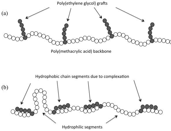 Figure 1.14. PEG-grafted PMAA polymer at (a) basic pH, no hydrogen bonding occurring so molecule remains completely hydrophilic and (b) acidic pH, complexation occurs resulting in both hydrophobic and hydrophilic segments