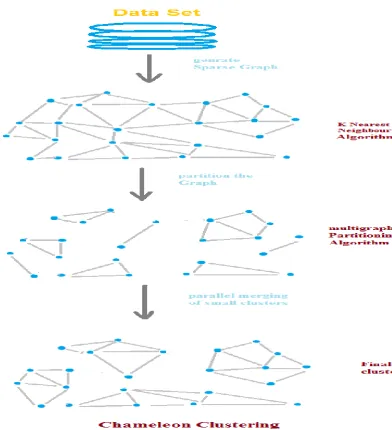 Fig 1: Chameleon Clustering 