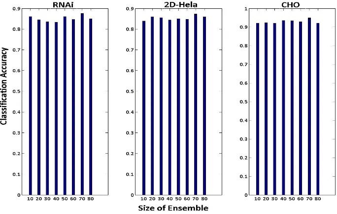 Figure 3.12: Barplots comparing the classiﬁcation accuracies from diﬀerent ensemblesizes on ﬂuorescence image sets