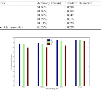 Table 3.6: Performance from Random Subspace Ensemble of Breast Cancer Biopsy