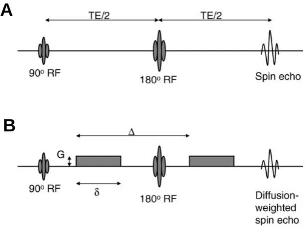 Fig. 3.8. A, Illustration of the spin echo sequence formed by applying 90° and 180° RF 