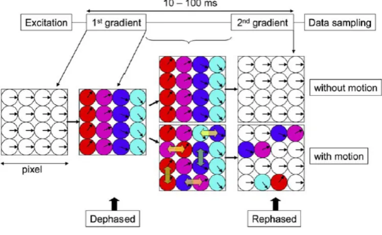 Fig. 3.9. A diagram demonstrating the relationship between diffusion of water molecules 