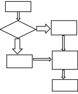 Figure 3 Child, Adult Classification 