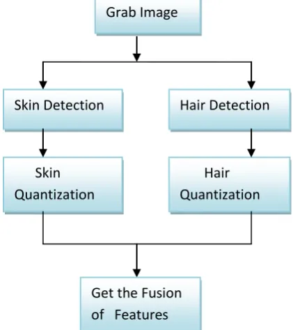 Fig 1:  An overview flowchart of Face Detection Algorithm 