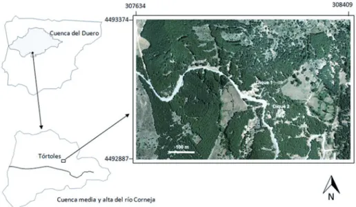 Figura 9. Localización del área de estudio y situación de los diques muestreados. Este estudio se ha centrado en una cárcava de 109 m de longitud, 14 m de anchura media y 15% de pendiente longitudinal.