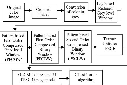 Fig. 1: Block diagram of the proposed PSCB image model. 
