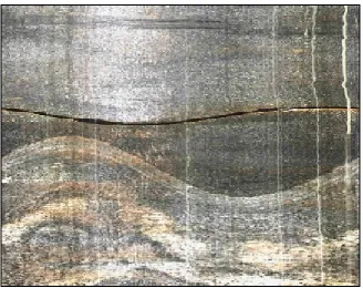 Figure 2.2: Optical televiewer borehole logs sample