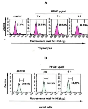 Figure  3.  PF  reduces  mitochondrial  transmembrane  potential  (ΔΨ m ).  Thymocytes  (A)  and  Jurkat  cells  (B)  were treated  with  or  without  500  µg/ml  of  PF  for  4  hours  at  37  °C,  stained  by  incubation with DiOC 6  (40 nM), and subject