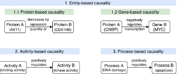 Figure 2. Examples of causal interactions with different types of representations of the interactors and the effect