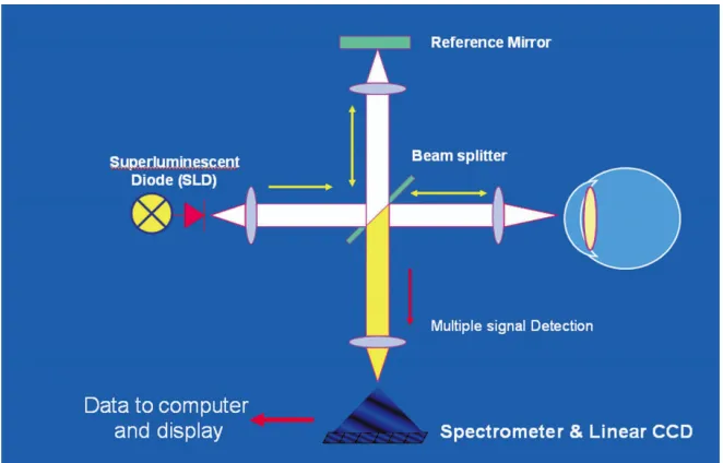 Figure 3.4: An example of an OCT scanner system, where CCD is the Charge-Coupled Device[22].