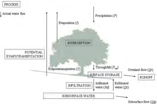 Figure 2. Schematic overview of the hydrological model PyCatch.