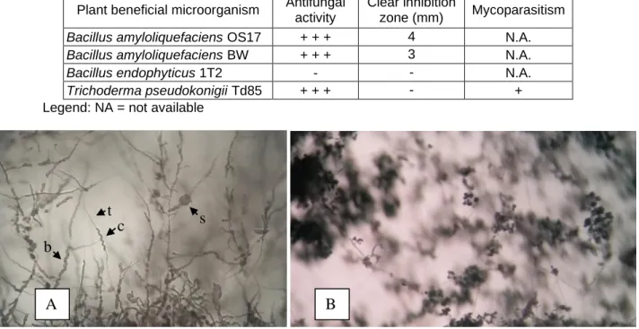 Table 3.   Antagonistic activity against Fusarium graminearum 183 plant pathogen 