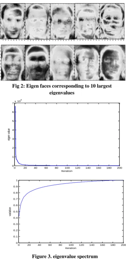 Fig 2: Eigen faces corresponding to 10 largest eigenvalues 