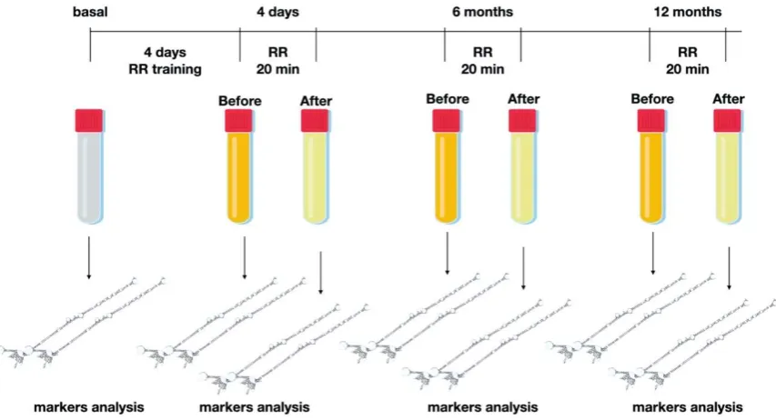 figure 1) in order to describe any variation of the markers object of this study. 