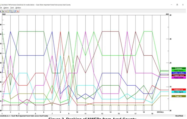 Figure 2. Ranking of NWFPs from Arad County 