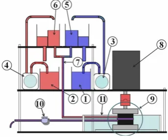 Figure 1. Diagram of the experimental setup. ①, ② Tank, ③, ④ Pump, ⑤, ⑥ Overflow tank, ⑦Inlet tube, ⑧ Motor, ⑨ Test section, ⑩ Needle valve, ⑪ Viewing block